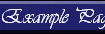 Example Page