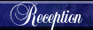 Wedding Reception